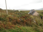 EHG4230_image_07.jpg