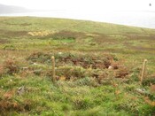 EHG4230_image_08.jpg