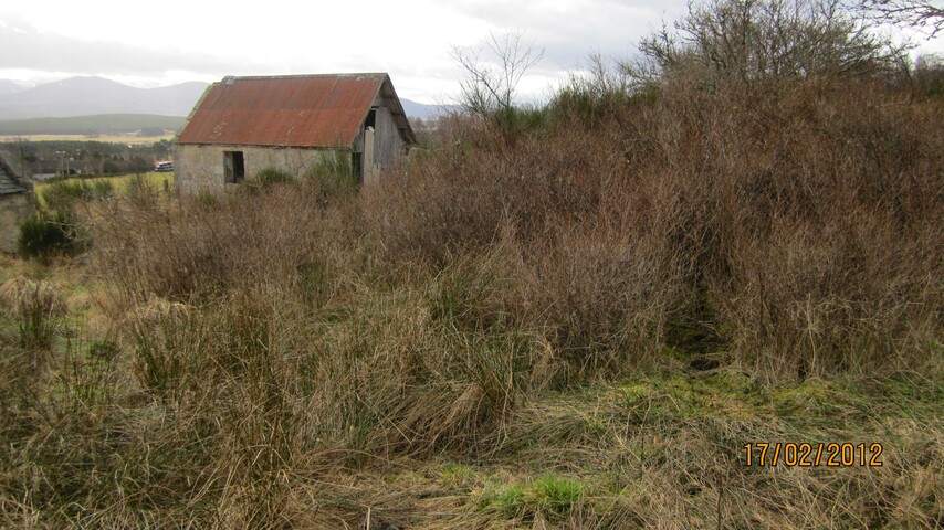 EHG4240_image_16.jpg