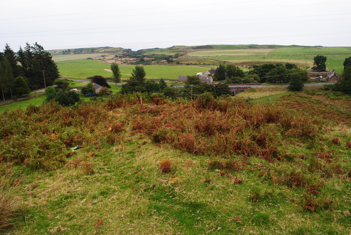 EHG4494_01.JPG
