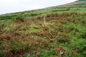 EHG4494_02.JPG