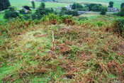 EHG4494_03.JPG