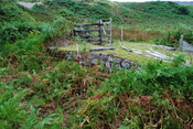 EHG4494_06.JPG