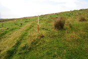 EHG4494_08.JPG