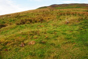EHG4494_09.JPG