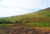 EHG4494_10.JPG
