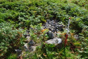 EHG4494_12.JPG