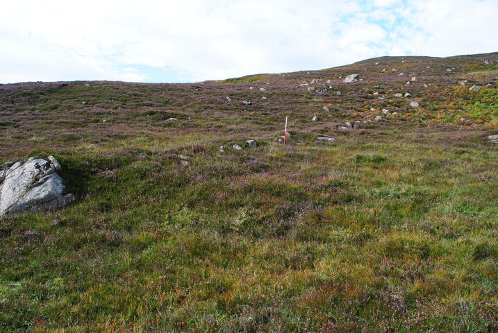 EHG4494_14.JPG