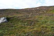 EHG4494_14.JPG