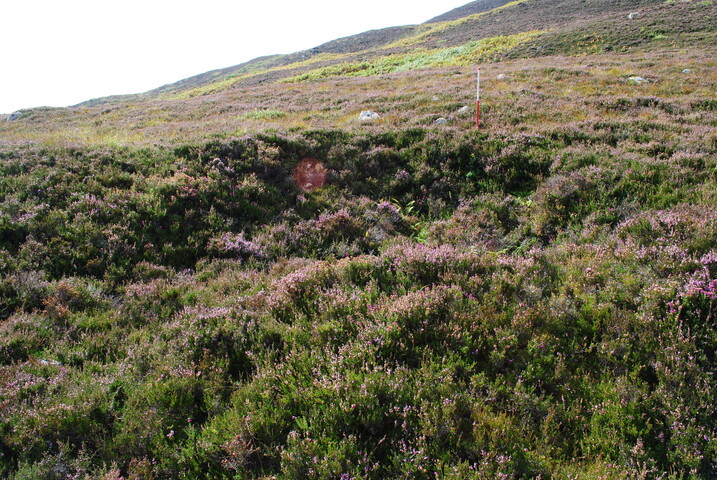 EHG4494_15.JPG