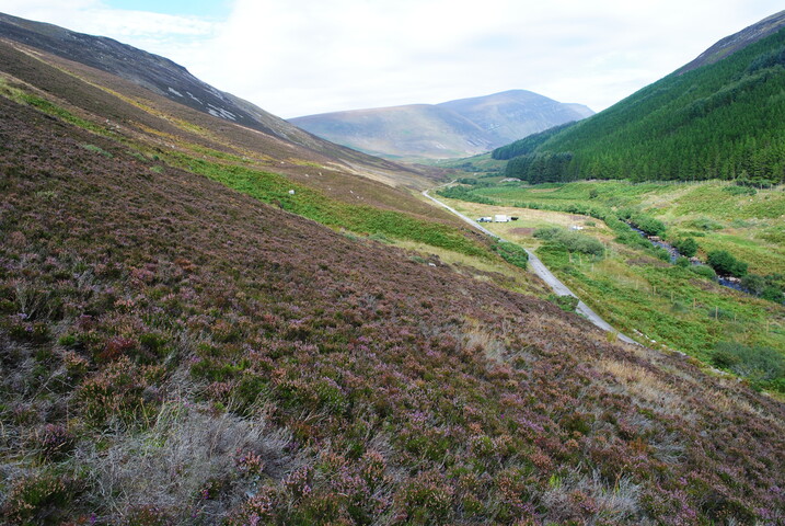 EHG4494_16.JPG