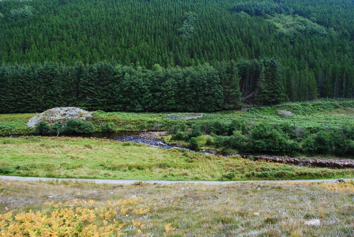 EHG4494_21.JPG