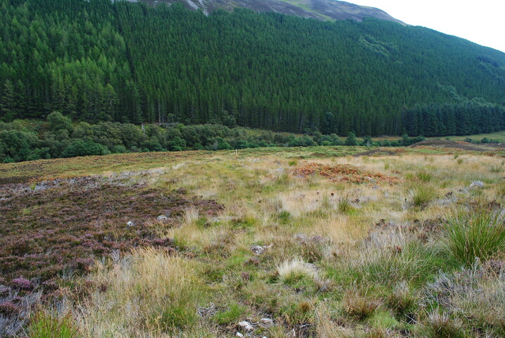 EHG4494_22.JPG