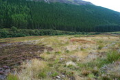 EHG4494_22.JPG