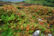 EHG4494_23.JPG