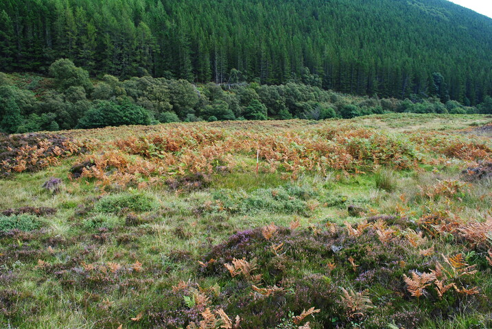 EHG4494_26.JPG