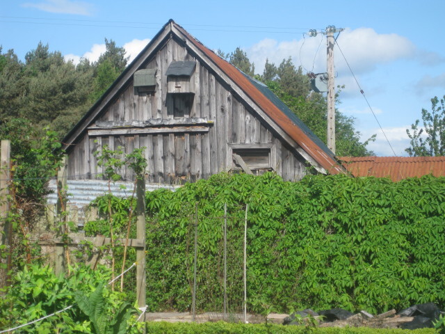 EHG4508_01.JPG