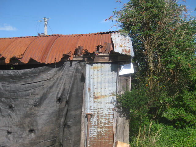 EHG4508_06.JPG