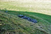 EHG879_03.JPG