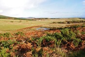 EHG879_05.JPG