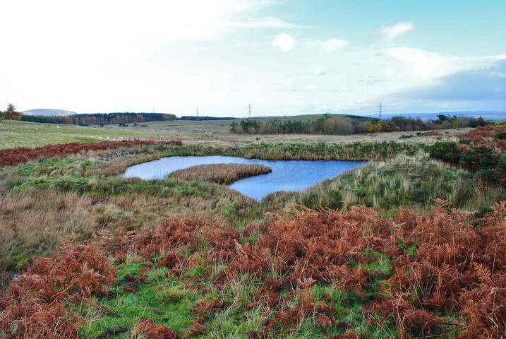 EHG879_06.JPG