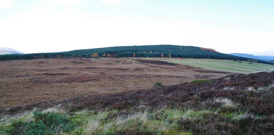 EHG879_07.jpg