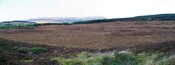 EHG879_08.jpg