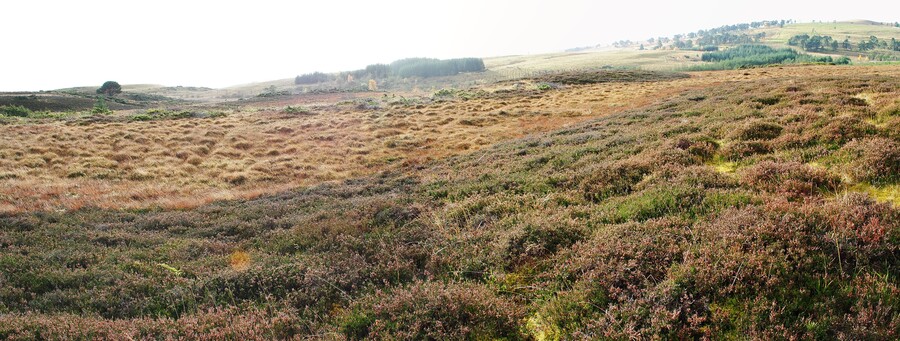 EHG879_10.jpg