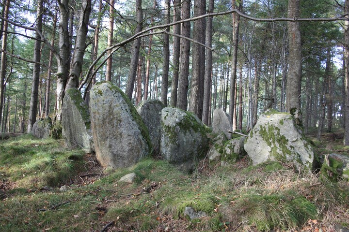 MHG36555_Tarradale Chambered Cairn 167.JPG