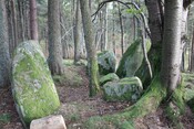 MHG36555_Tarradale Chambered Cairn 169.JPG