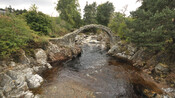 EHG4554_04.jpg