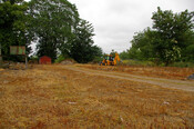 IMGP5947.JPG