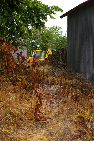 IMGP5949.JPG