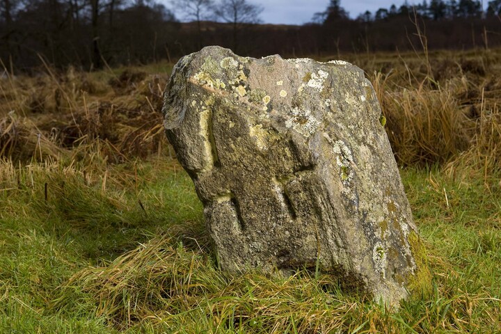 MHG11048_01.jpg