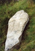 MHG9522_2.jpg