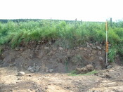 JN09013.jpg