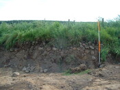 JN09014.jpg
