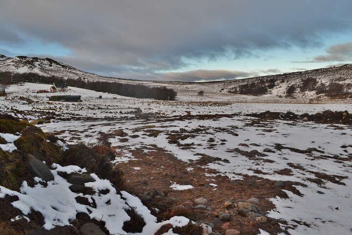 EHG4564_01.JPG