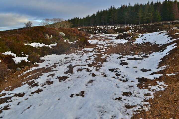 EHG4564_09.JPG