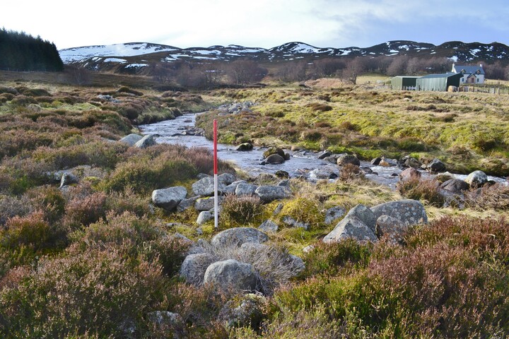 EHG4564_11.JPG