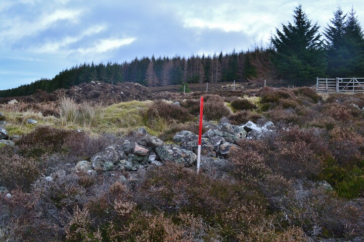 EHG4564_18.JPG