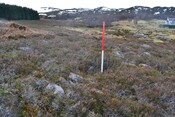 EHG4564_19.JPG