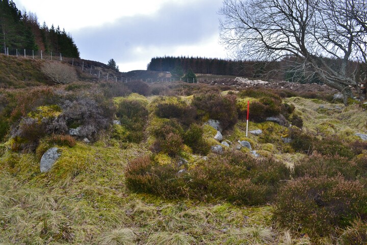 EHG4564_20.JPG
