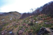 EHG4626_09.JPG