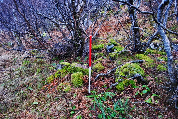 EHG4626_10.JPG