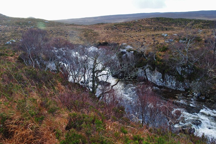 EHG4626_15.JPG