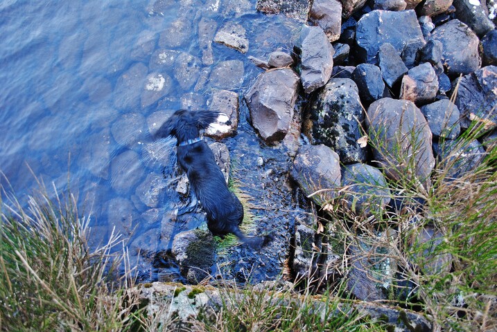 EHG4626_22.JPG