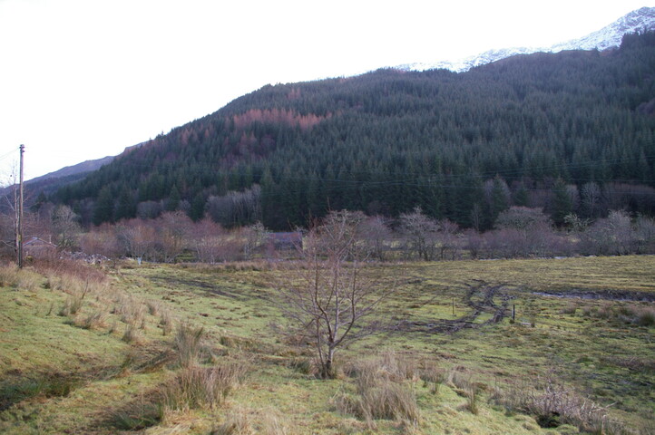 EHG4654_12.JPG