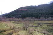 EHG4654_12.JPG