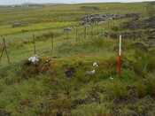 EHG4656_11.JPG